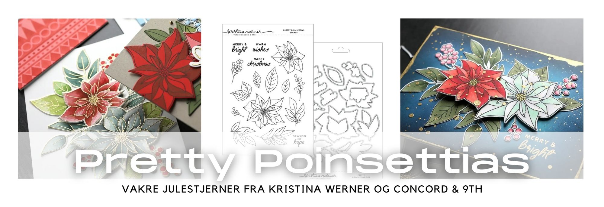 Kristina Werner Pretty Poinsettia Bundle